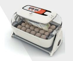킹수로 MAX 20